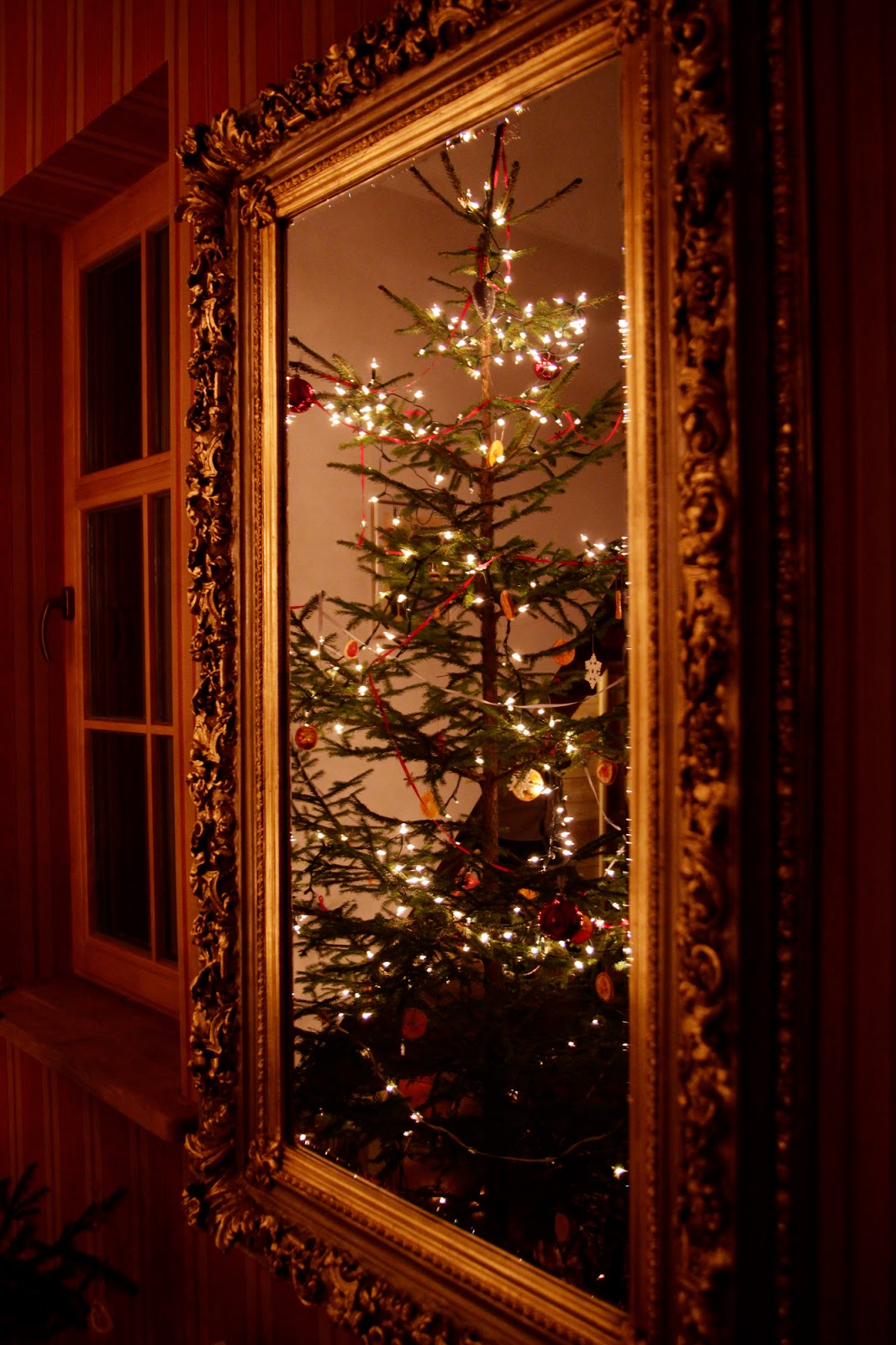 Gwiazdka w Puszczy - Ania w Podróży