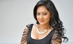 Nikesha Patel latest photos at Leela movie launch-thumbnail