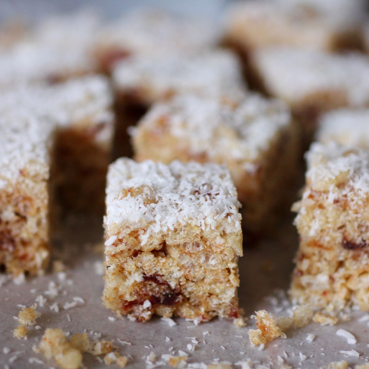 Green Gourmet Giraffe coconut date slice