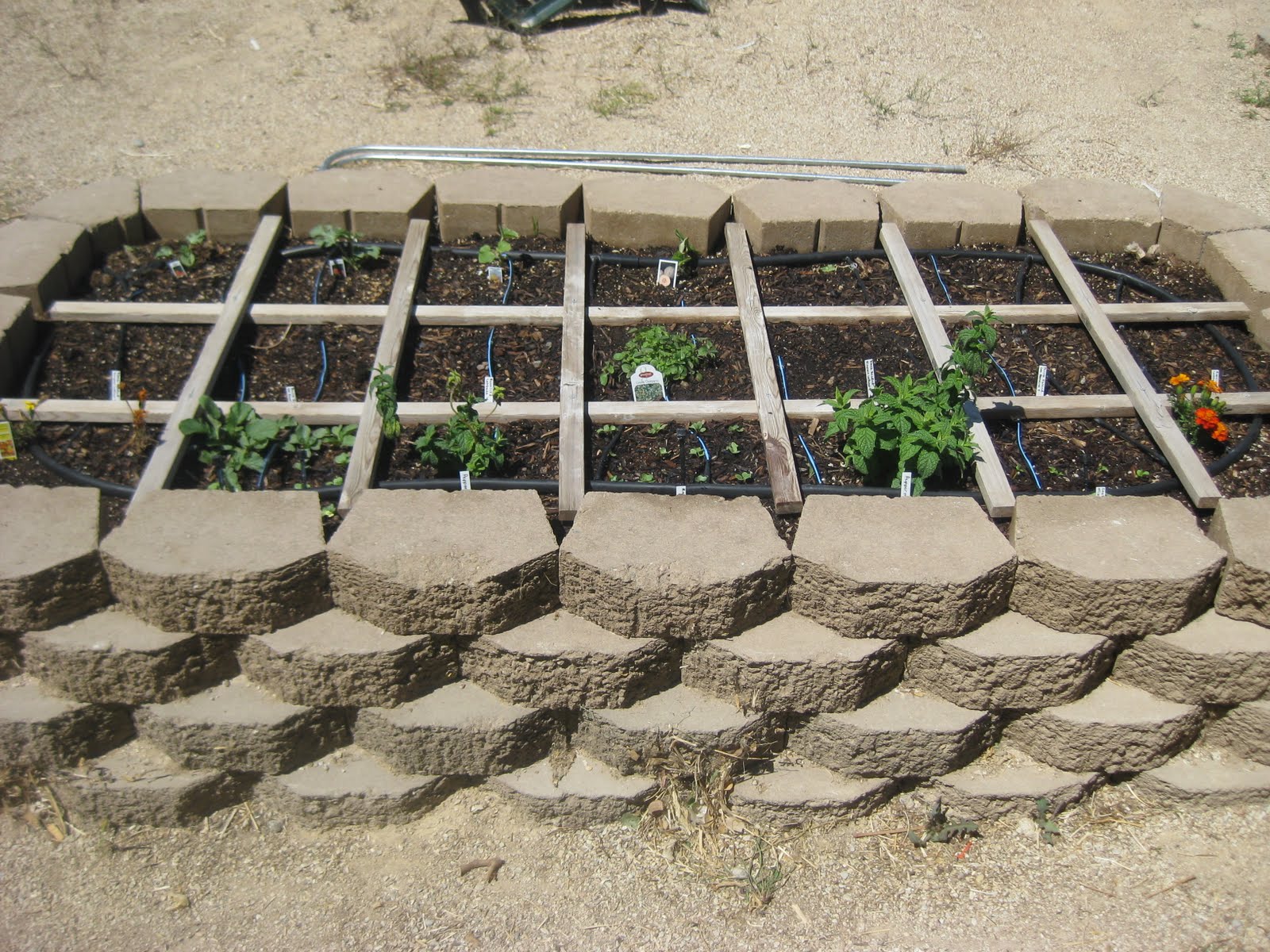 Kim's Gourmet and Garden Diary: Vegetable Garden Update May 1, 2011