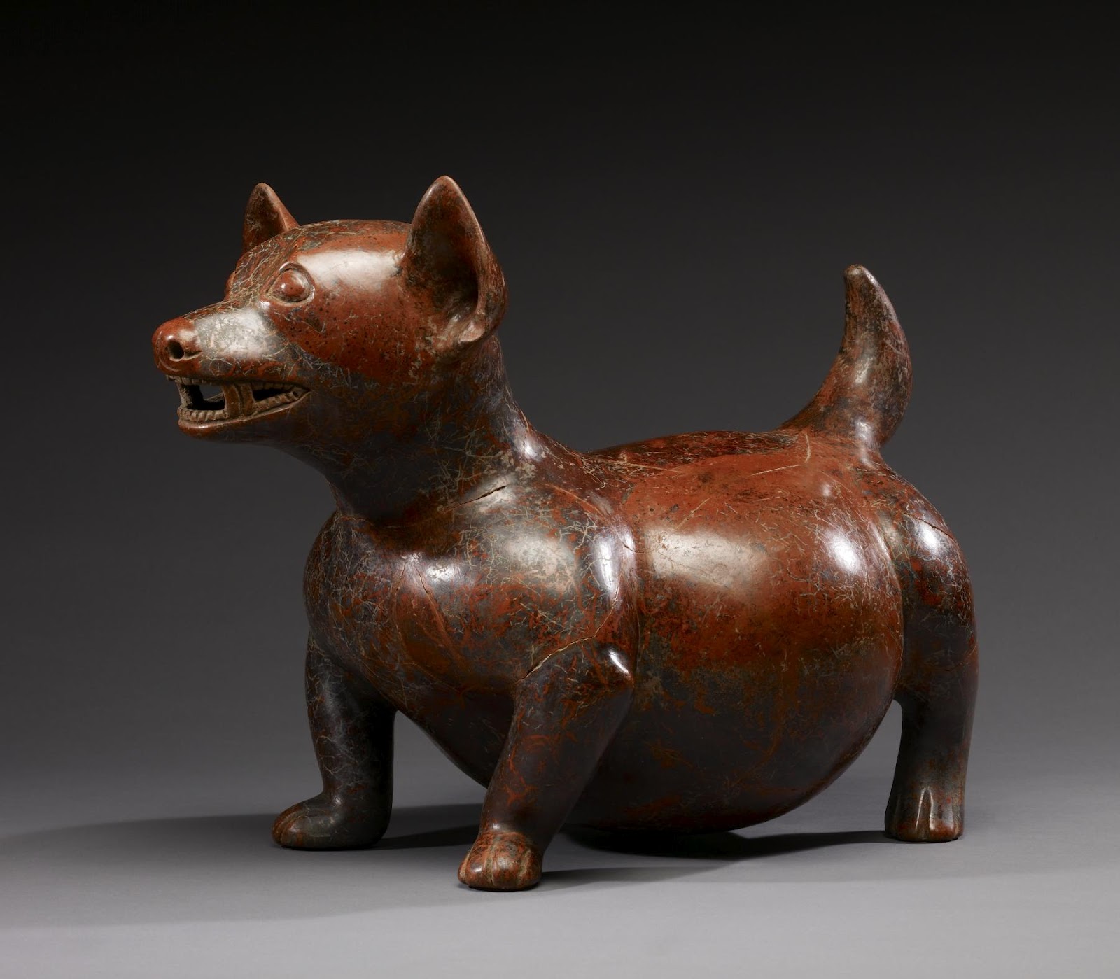 Colima Dogs For Sale Colima Dogs For Sale