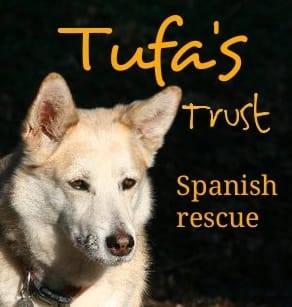 Tufas Trust Dog Rehoming Spain