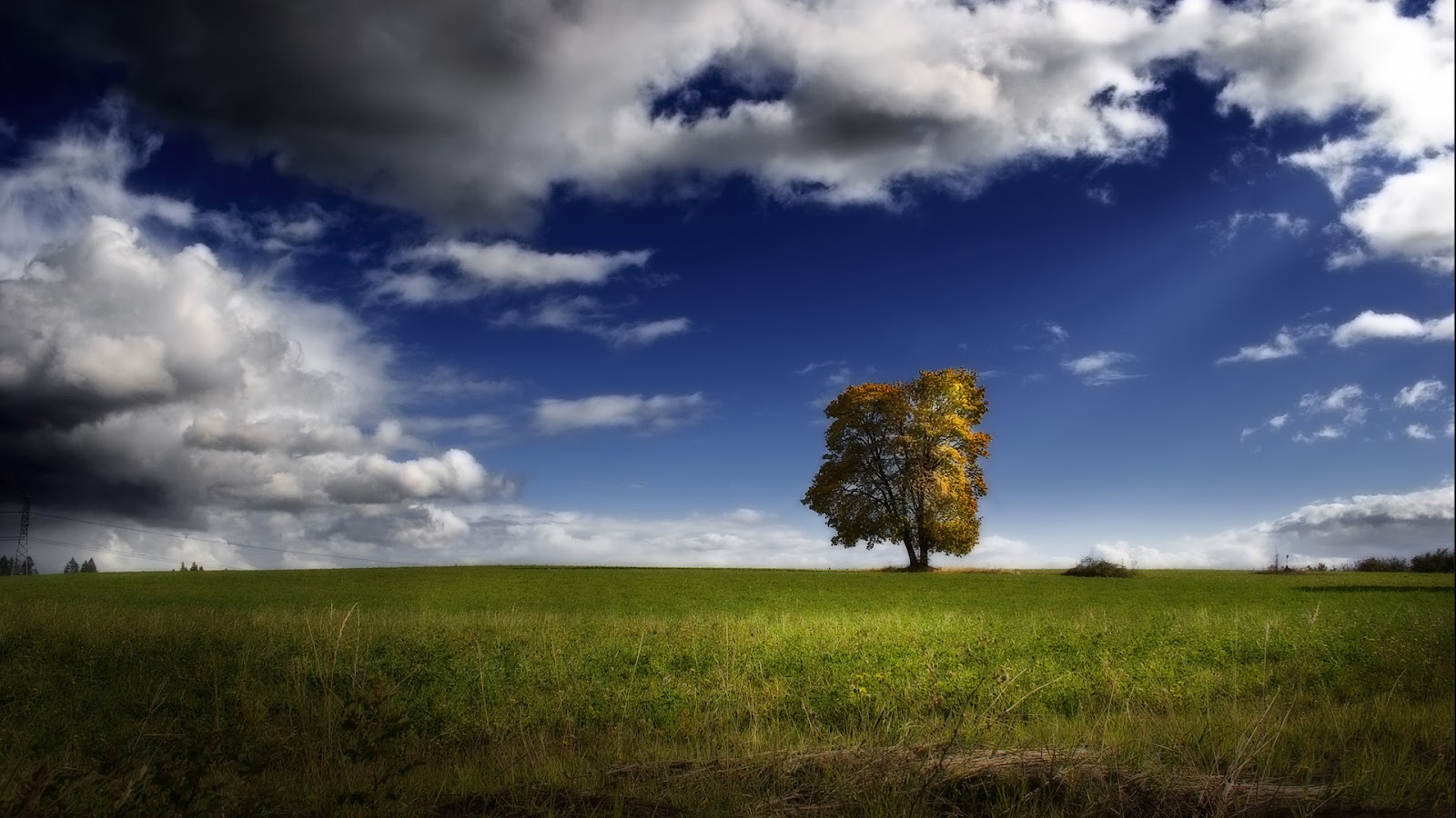 http://4.bp.blogspot.com/-o2DGIM1nOKg/T6AHdMSAImI/AAAAAAAAADk/o5ooReS58ME/s1600/Nature-HD-Wallpaper-Best-Background-Laptop-Desktop.jpg