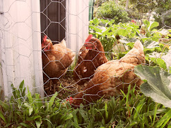 Martha, Marjorie and Runty