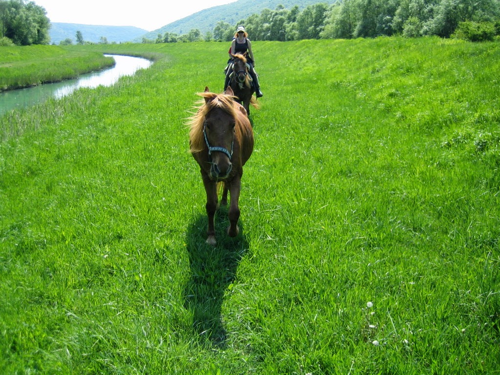 SAMY´S RANCH TREKKING HORSEBACK RIDING ISTRIA CROATIA