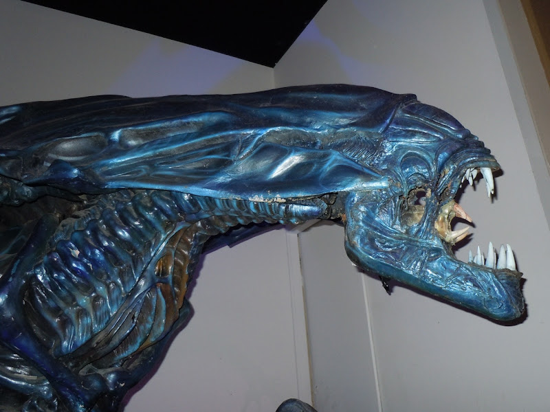 Alien Queen head