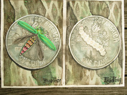 Emerald Ash Borer