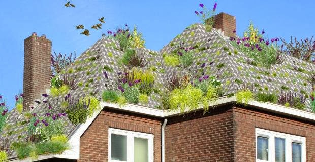 progetto eco sostenibile olandese tegole fiorite