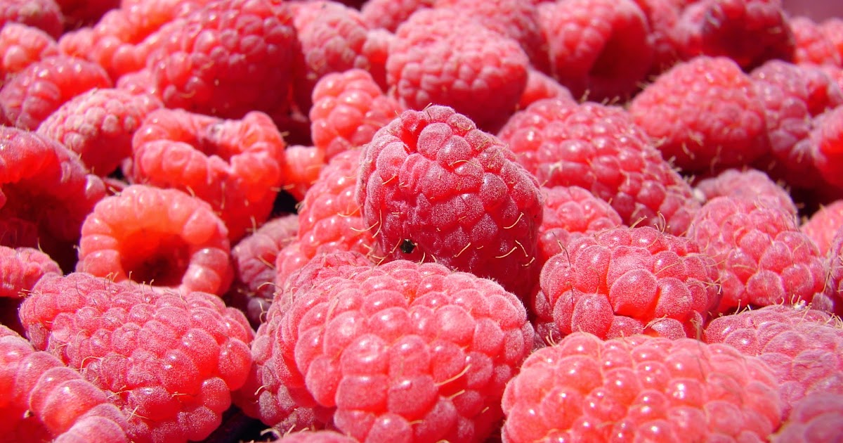 New Utah Gardener Growing Raspberries In Utah