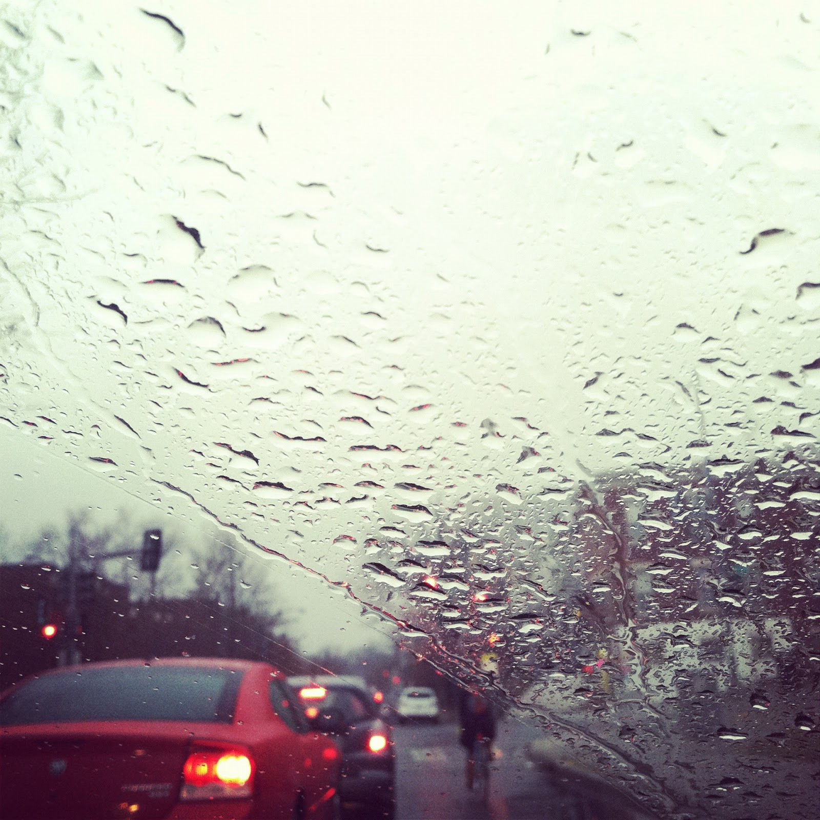 couldawouldapica bitter cold