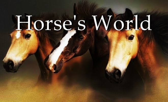 Horse's World