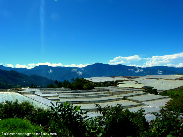 the long and winding trip to tinglayan mountains the long and winding trip to tinglayan mountains