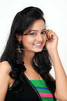 Shanvi, cute, and, spicy, photo, shoot, gallery