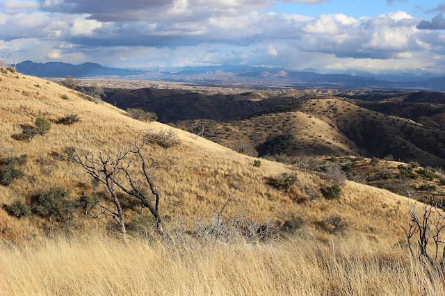 Hunting%2Bfor%2BCoues%2BWhitetail%2Bin%2BMexico%2Bwith%2Bguides%2BJay%2BScott%2Band%2BDarr%2BColburn%2B3.JPG