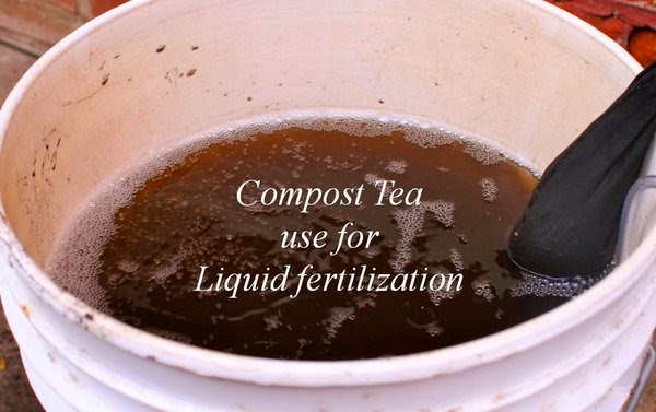 China Fertilizer For Tea Industry China Fertilizer For Tea Industry