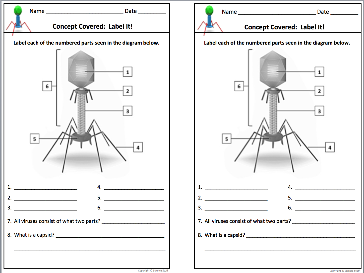 Worksheets Virus Worksheet virus worksheets