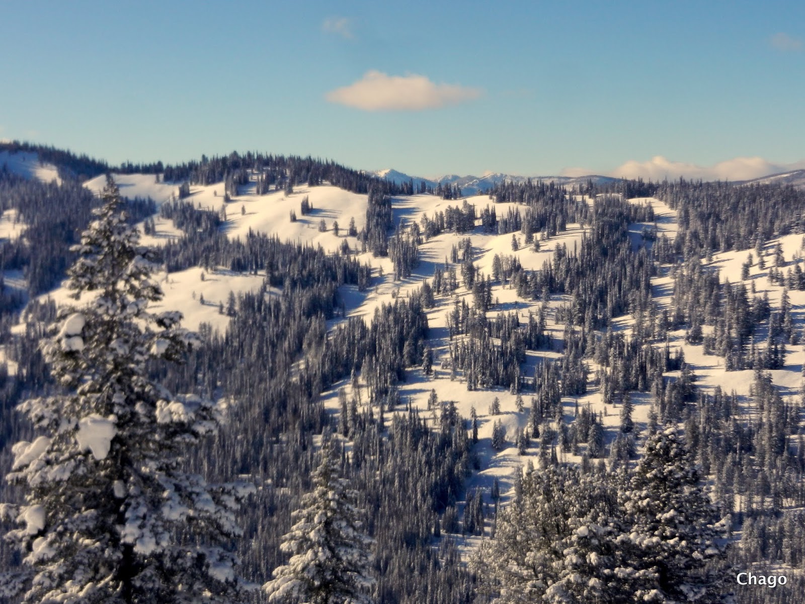 Mores Creek Summit Backcountry Skiing Bull Trout Lake Inlet Glades 1.