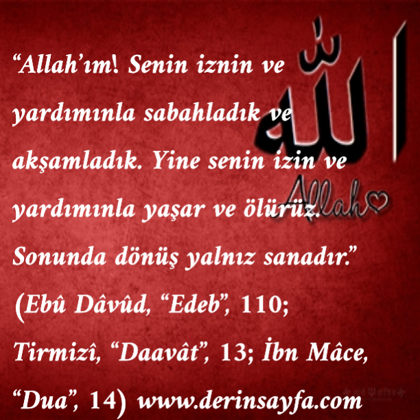 Peygamber efendimizin yaptığı Dualar ( Hadisler ) / resimli güzel