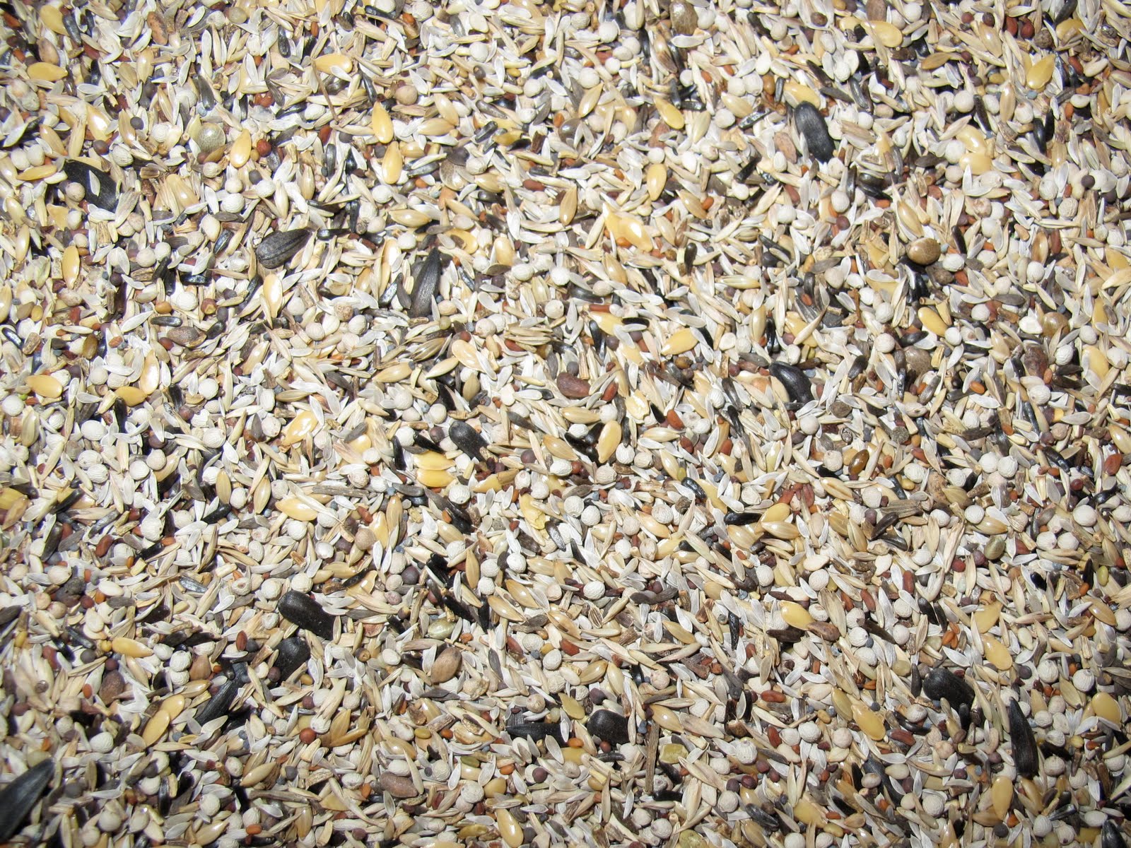 Club Carduelis Mélange de graines pour chardonneret