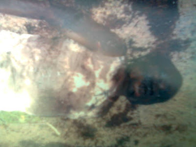 ik+ukeoma.jpg?width=400