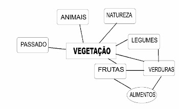 MAPA CONCEITUAL