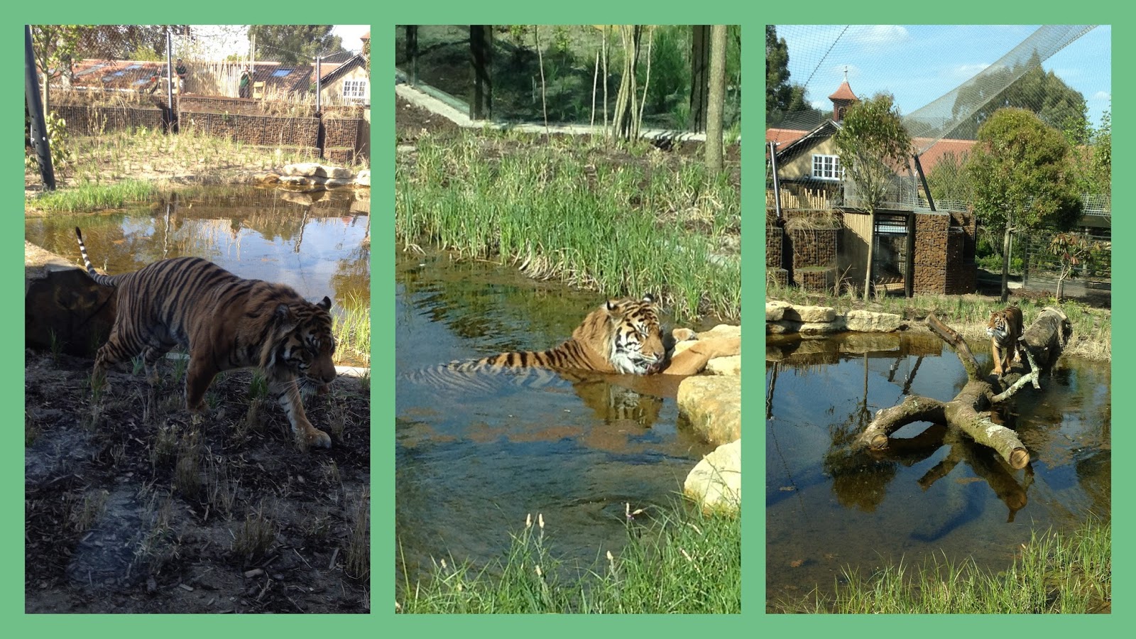 How do YOU feel about zoos..?