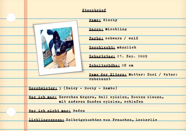 Blacky's Blog: Mein Steckbrief