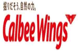 PT Calbee Wings Food PT Calbee Wings Food