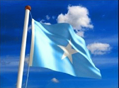 Image result for Somali flag