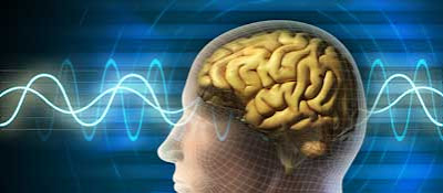http://4.bp.blogspot.com/-o7uIvos30Ds/TykCXwhRgYI/AAAAAAAAL6E/pzwOhGzObpM/s1600/cervello_BIG.jpg