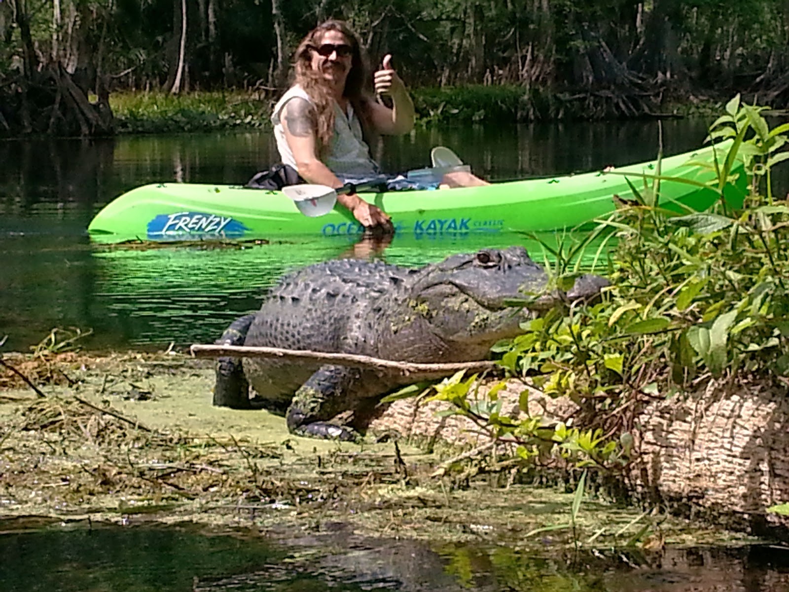 EVERYTHING BEAN'RE Kayaking with the Florida wildlife