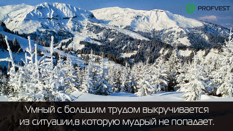 Отчет за 19.01.15 - 25.01.15: Рассуждаем о евро Отчет за 19.01.15 - 25.01.15