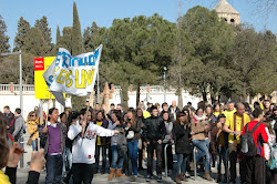 LA ROMÀNICA ES MOU. DIMARTS GROC: 21.02.2012