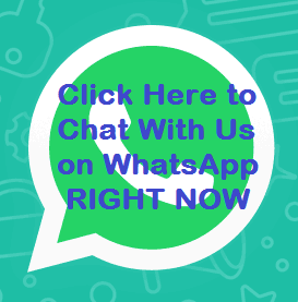 Chat With Us on WhatsApp Right Now