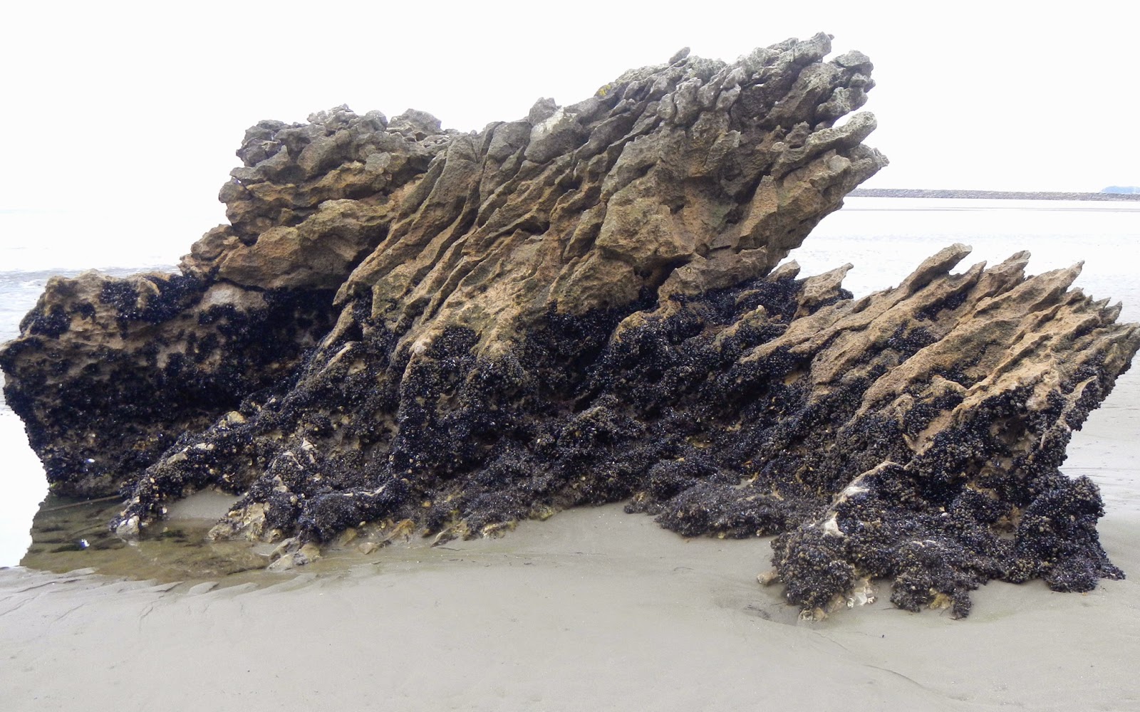 Licorice Allsorts Rocks... On The Beach... And Climbing...