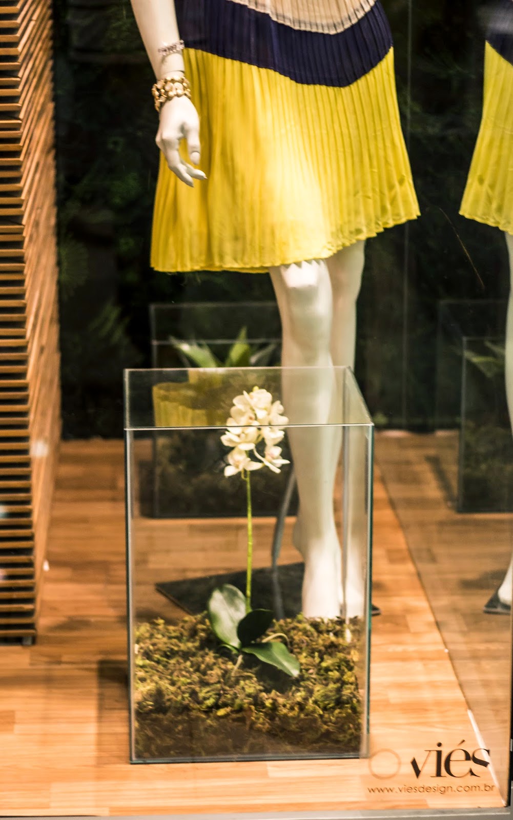 vitrine k9 projeto viés design design de ambientes para moda bh