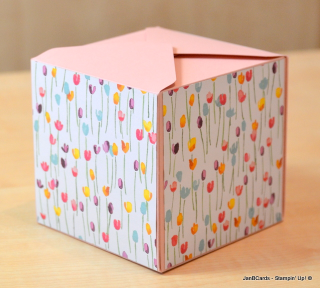 Today's Video Gift Box Punch Board Box JanB Cards