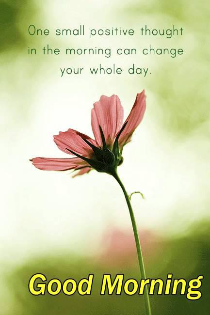 Morning Life Quotes Endearing Good Morning Quotes Find Quotes Beautiful Photos & Wallpapers Morning Life Quotes Entrancing Good Morning Quotes Find Quotes Beautiful Photos & Wallpapers