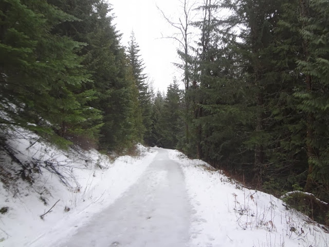 Diamond Head trail in Garibaldi Provincial Park