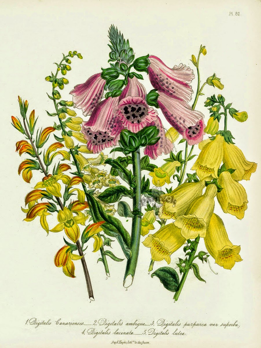 Infotainment @ www.keralites.net Fun & Info @ Keralites.net