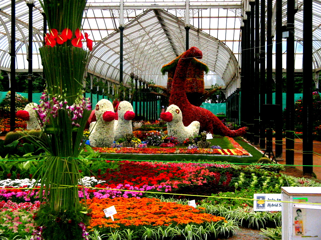 My world!! Flower Show 2012 Pictures Lalbagh Botanical Garden, Bangalore