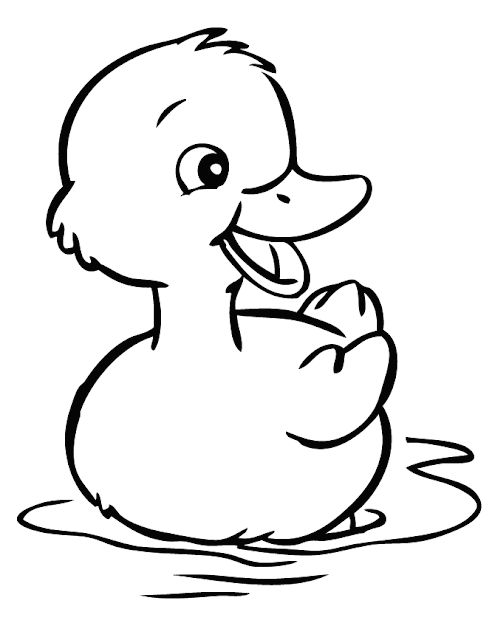  Cute Duck Drawing Cartoon HD Wallpaper 
