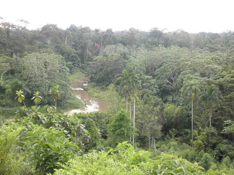 Shishinahua River