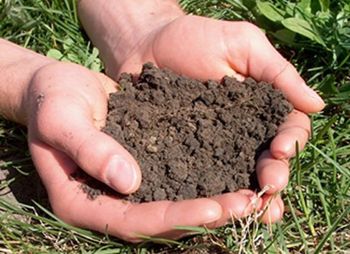 Missouri Beginning Farming Missouri Soil Testing Association State