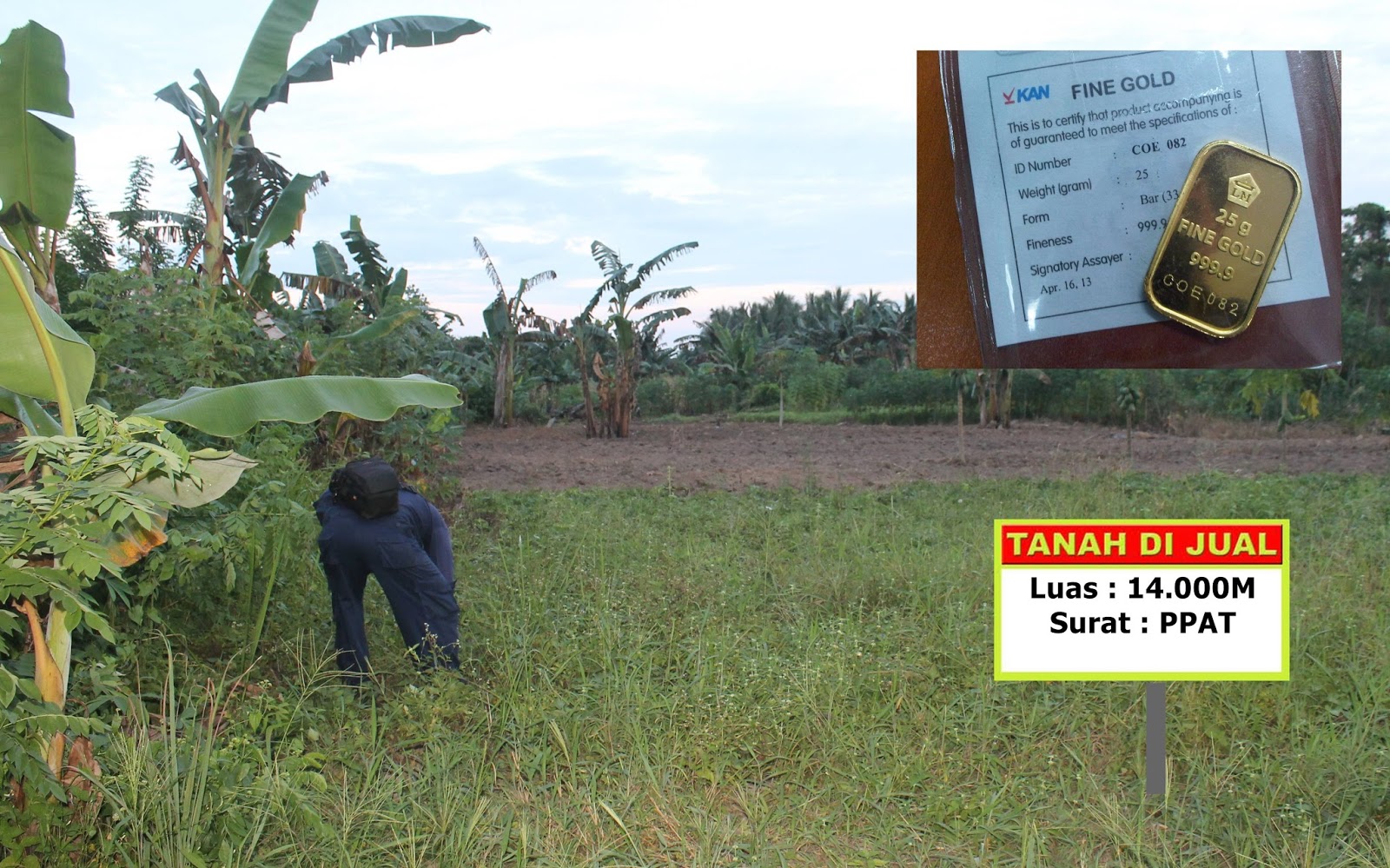 TAMAN EMAS Investasi Emas VS Tanah