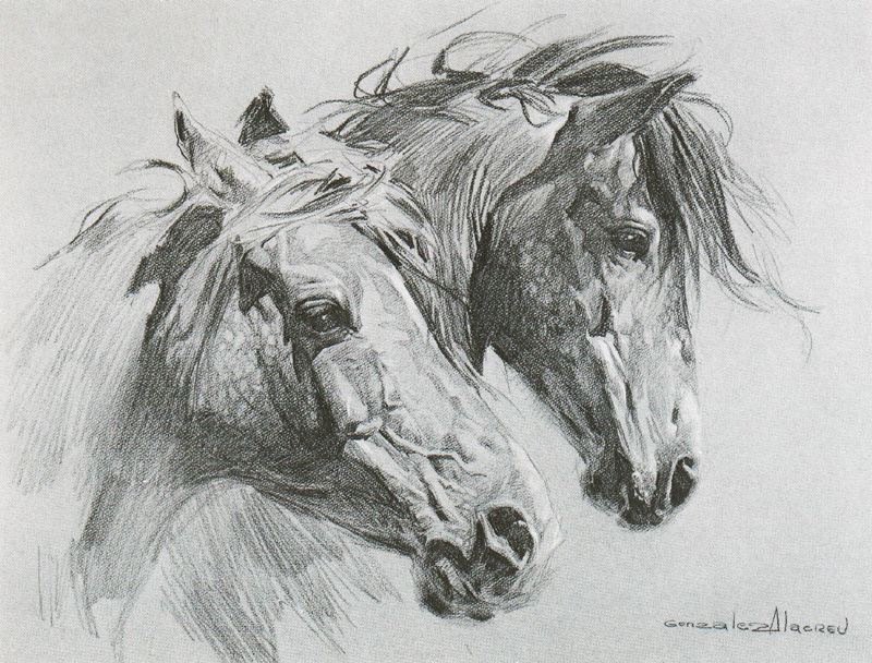 Imagenes De Amor Y Amistad: Pergaminos en Blanco