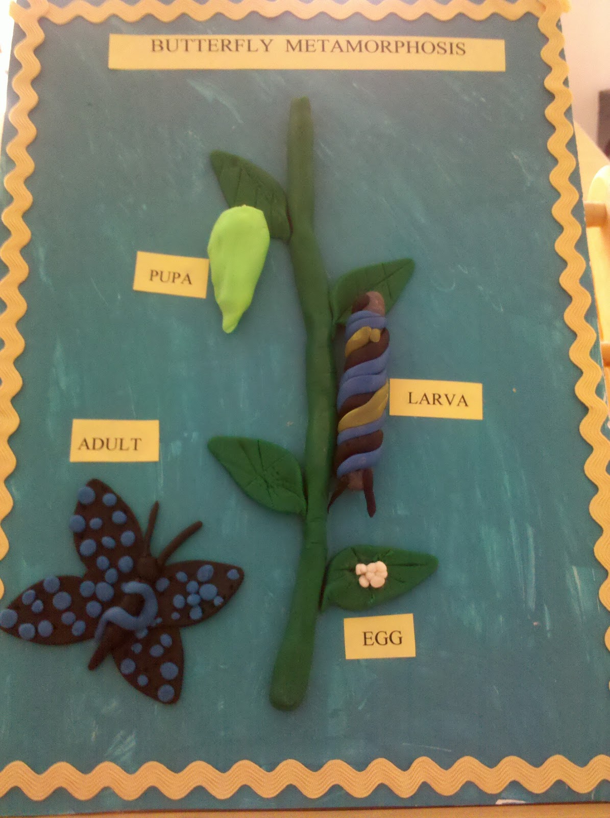 The Joy of School Butterfly Life Cycle Project