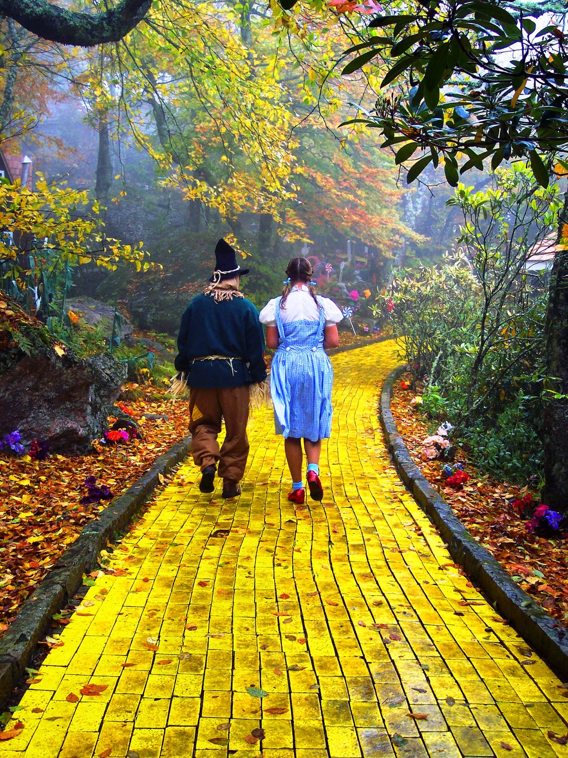 WallpapersWidecom Oz the Great and Powerful HD Desktop