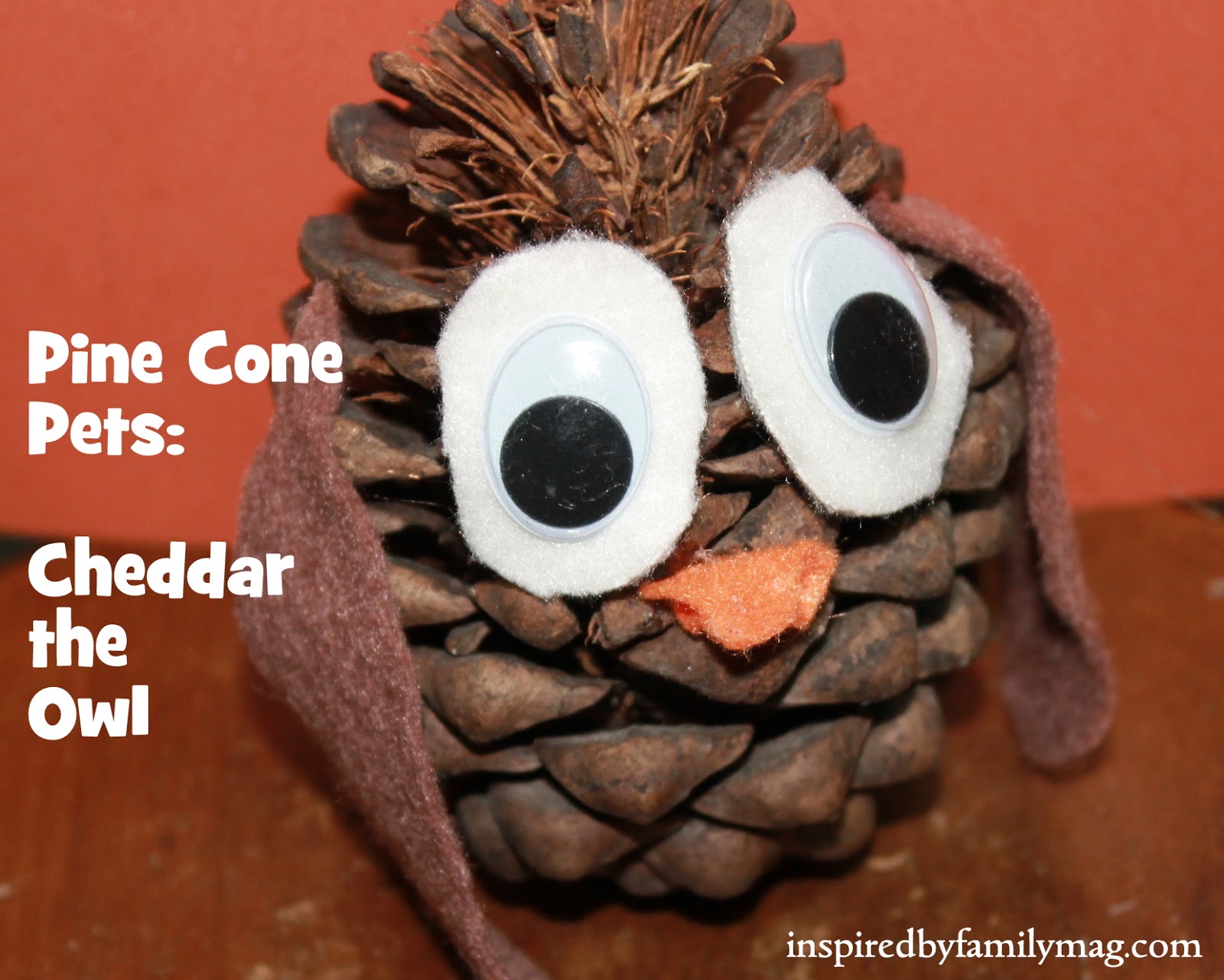 Nature Walk Craft Pine Cone Pets