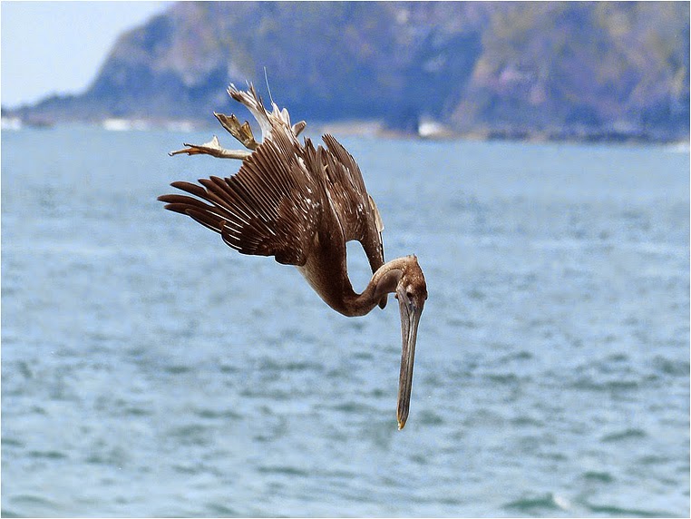Compact Camera, Best Photo of the Day in Emphoka by Rodger Scott, Panasonic DMC-FZ200, https://flic.kr/p/ny8zPS Compact Camera, Best Photo of the Day in Emphoka by Rodger Scott, Panasonic DMC-FZ200, https://flic.kr/p/ny8zPS